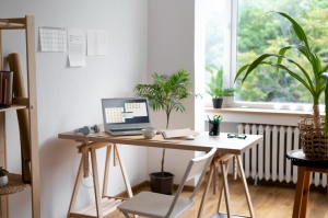 Tips for a Green and Office Design Tips for a Green and Office Design