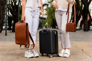 Navigating Convenience: The Ultimate Guide to Trolley Bags for Effortless Travel